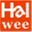 hall-ic.com