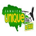 jamaicauniquetours.com