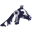 bluewhalecarpetcare.com