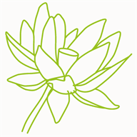 integrativefinancialcounseling.com