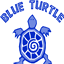 blueturtlenaturecamp.com