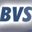 bvsoft.com