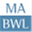 helmig.bwl.uni-mannheim.de