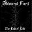 abhorrentforest.bandcamp.com