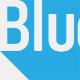 bluestonex.com