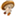 siitake.com