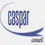 caspar-conseil.com