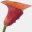 theflowergarden.org.uk