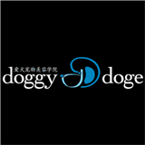 doggydoge.com