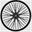 sdscbs.org