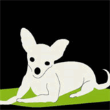 chrishumphreys.com