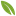 nnpps.com