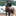noahabramsonshowstables.com