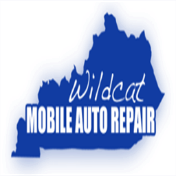 wildcatautoky.com