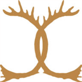 centerforhealthcareers.com