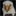 kyeagletracking.wordpress.com
