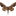 joelpackandthepops.com