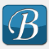 bgi3e.org