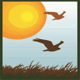 christinacourtnevada.com