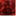 redsparklegirl.wordpress.com