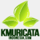 kmuricataindonesia.com