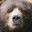 gamelton.com