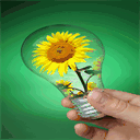 innovateandsustain.com