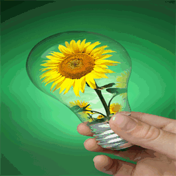 innovateandsustain.com