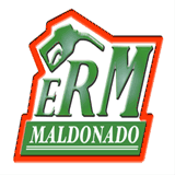 ermdemexico.com.mx