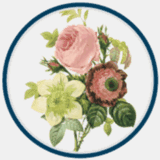 barbourdentalcare.com