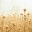 considerationbydesign.wordpress.com