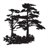 islandhomedesigns.com