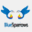 bluesparrows.com