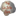 theclam.com