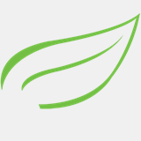 greenlivingcleaningcompany.com