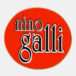 ninogalli.it