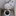 disastronautnoise.bandcamp.com