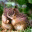 skyurik.wordpress.com