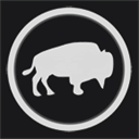 wearebison.com