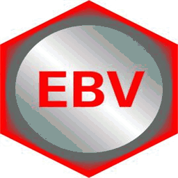 ebv-bleialf.de