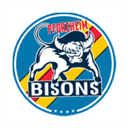 pforzheim-bisons.de