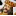dokostars.com