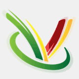 goldenvisainportugal.com