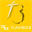 flashbulbmusic.com