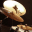 danielhuntertrio.timemanipulation.com