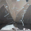 atelierteatrocamedo.ch