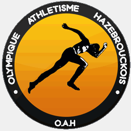oah-hazebrouck.com