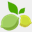 2limes.com