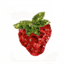 sequinedstrawberries.tumblr.com