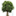 burtwealth.org